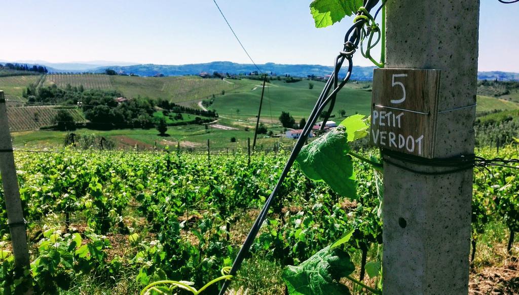 Agriturismo Luggiano วินชี ภายนอก รูปภาพ