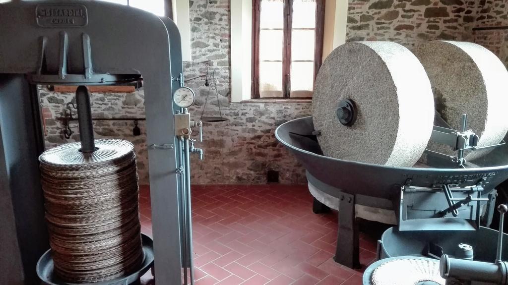 Agriturismo Luggiano วินชี ภายนอก รูปภาพ