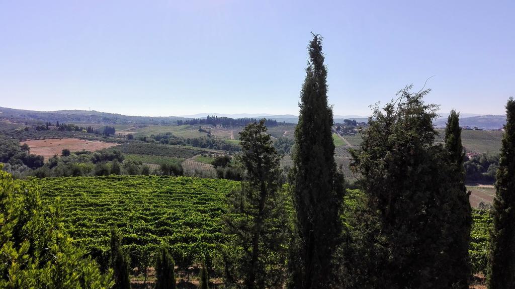 Agriturismo Luggiano วินชี ภายนอก รูปภาพ